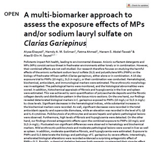 A multi-biomarker approach to assess the exposure effects of MPs and/or sodium lauryl sulfate on Clarias Gariepinus